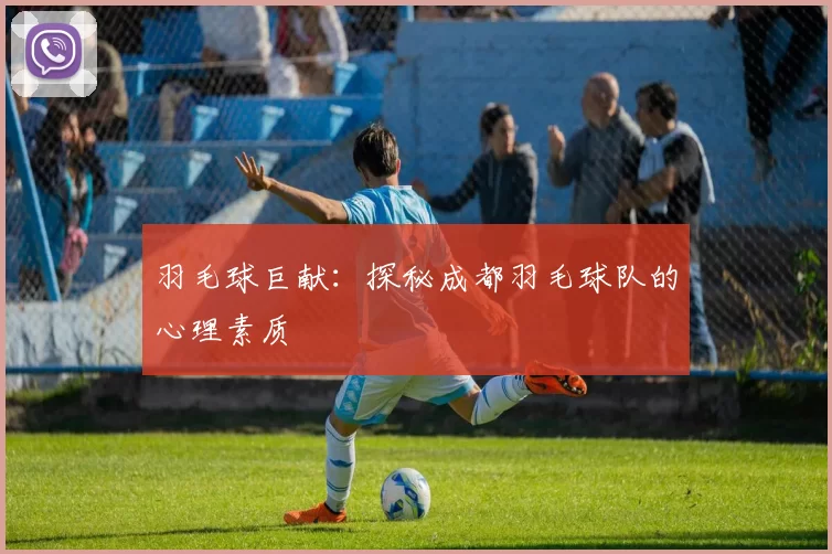 羽毛球巨献：探秘成都羽毛球队的心理素质