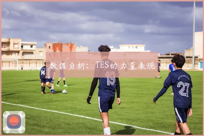 数据分析：TES的力量表现