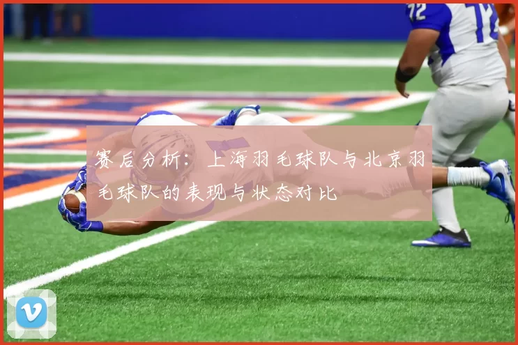 赛后分析：上海羽毛球队与北京羽毛球队的表现与状态对比