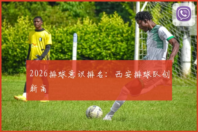2026排球意识排名：西安排球队创新高