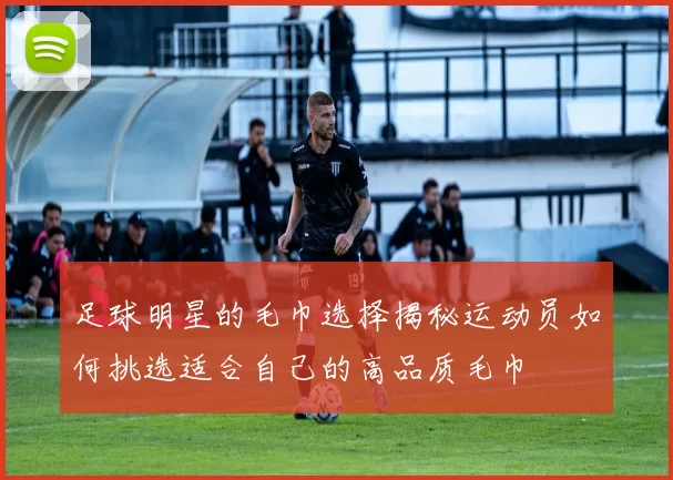 足球明星的毛巾选择揭秘运动员如何挑选适合自己的高品质毛巾